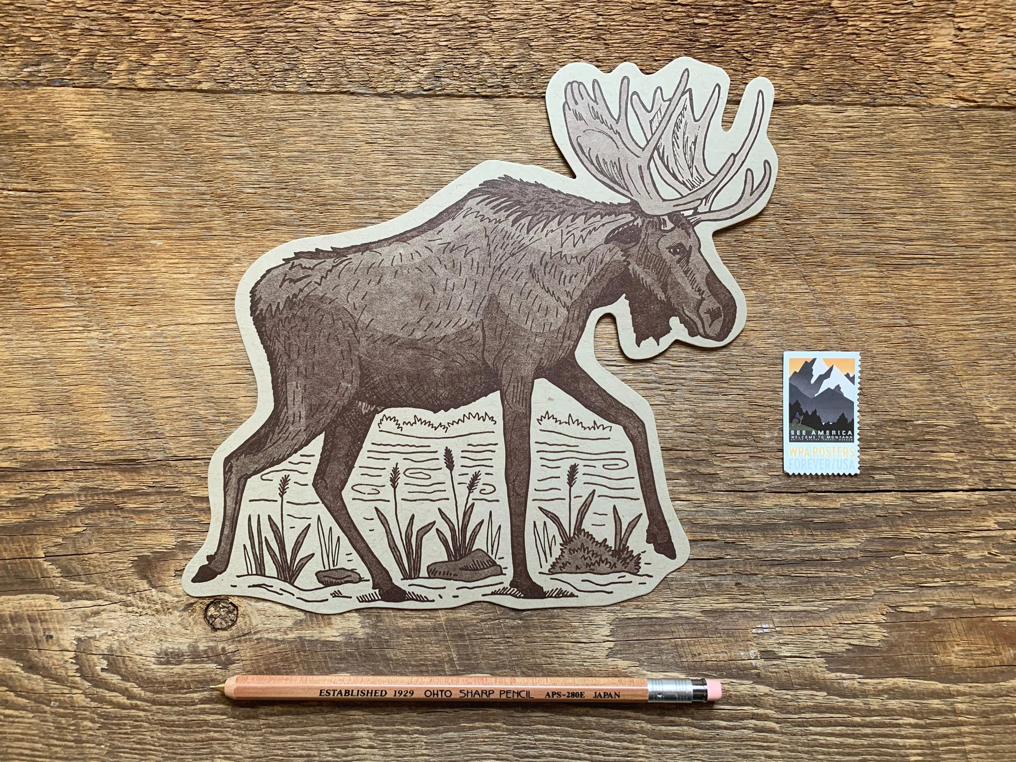 NOTEWORTHY POSTCARDS- MOOSE