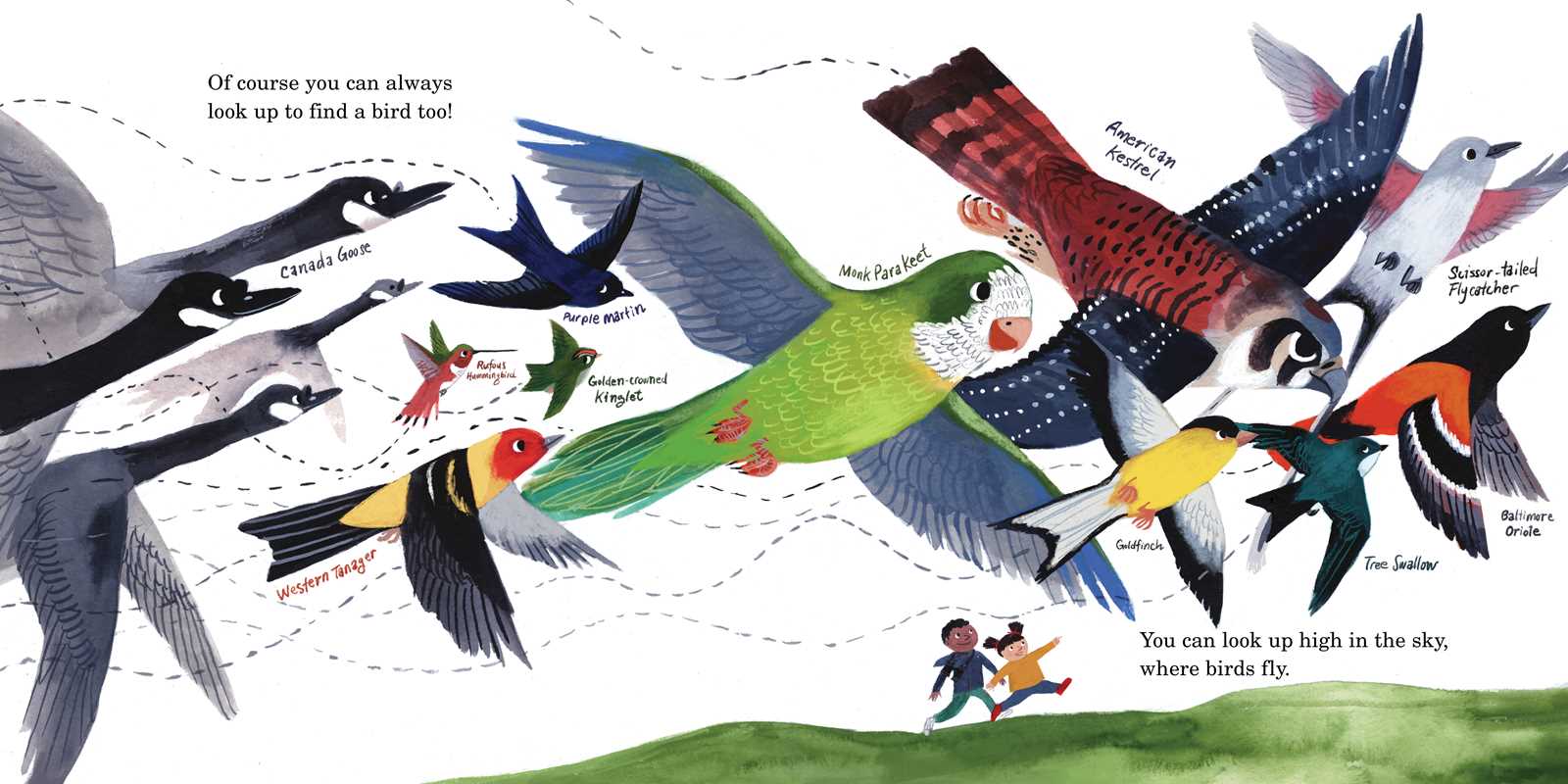 HOW TO FIND A BIRD - CHILDREN'S BOOK