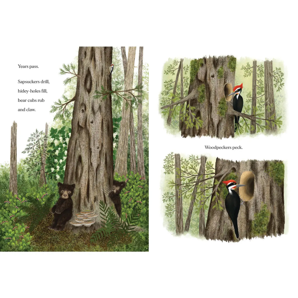 WHEN A TREE FALLS BOOK
