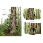 WHEN A TREE FALLS BOOK