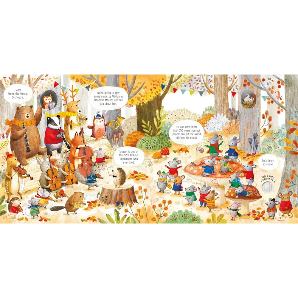 ANIMAL ORCHESTRA PLAYS MOZART