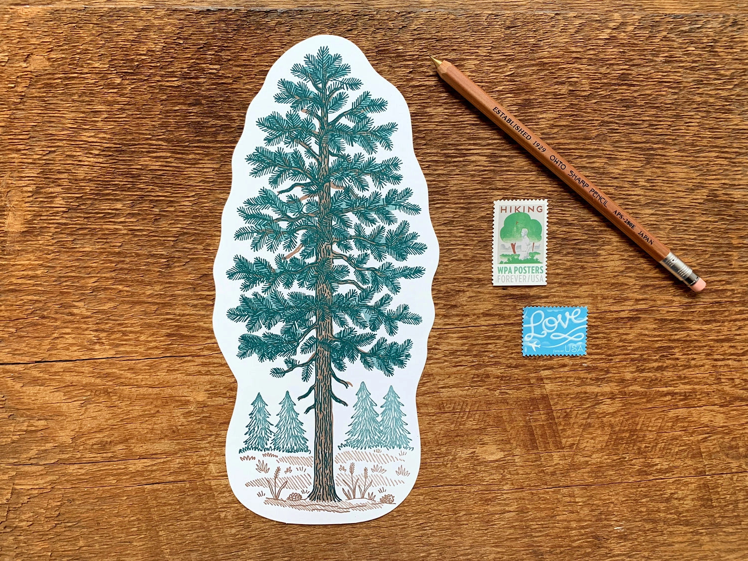 NOTEWORTHY POSTCARDS- PINE TREE