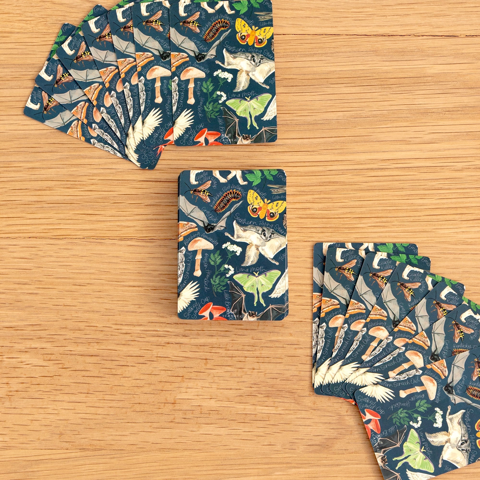 MIDNIGHT FLORA + FAUNA CARDS