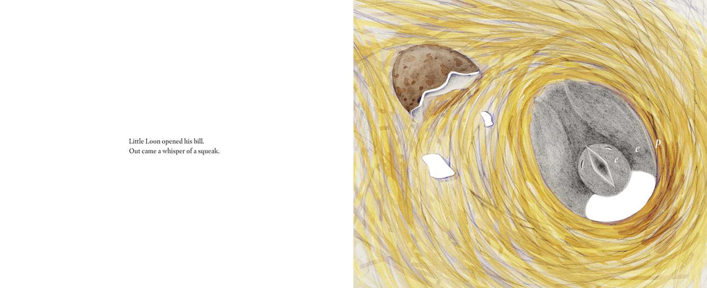 LITTLE LOON FINDS HIS VOICE - CHILDREN'S BOOK