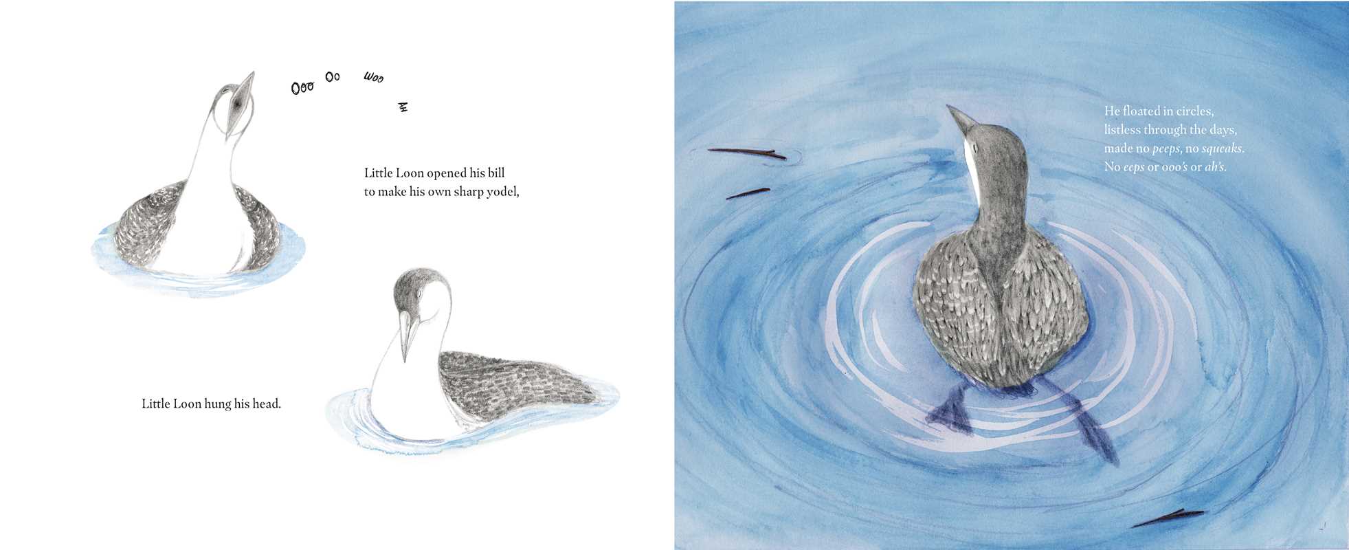 LITTLE LOON FINDS HIS VOICE - CHILDREN'S BOOK