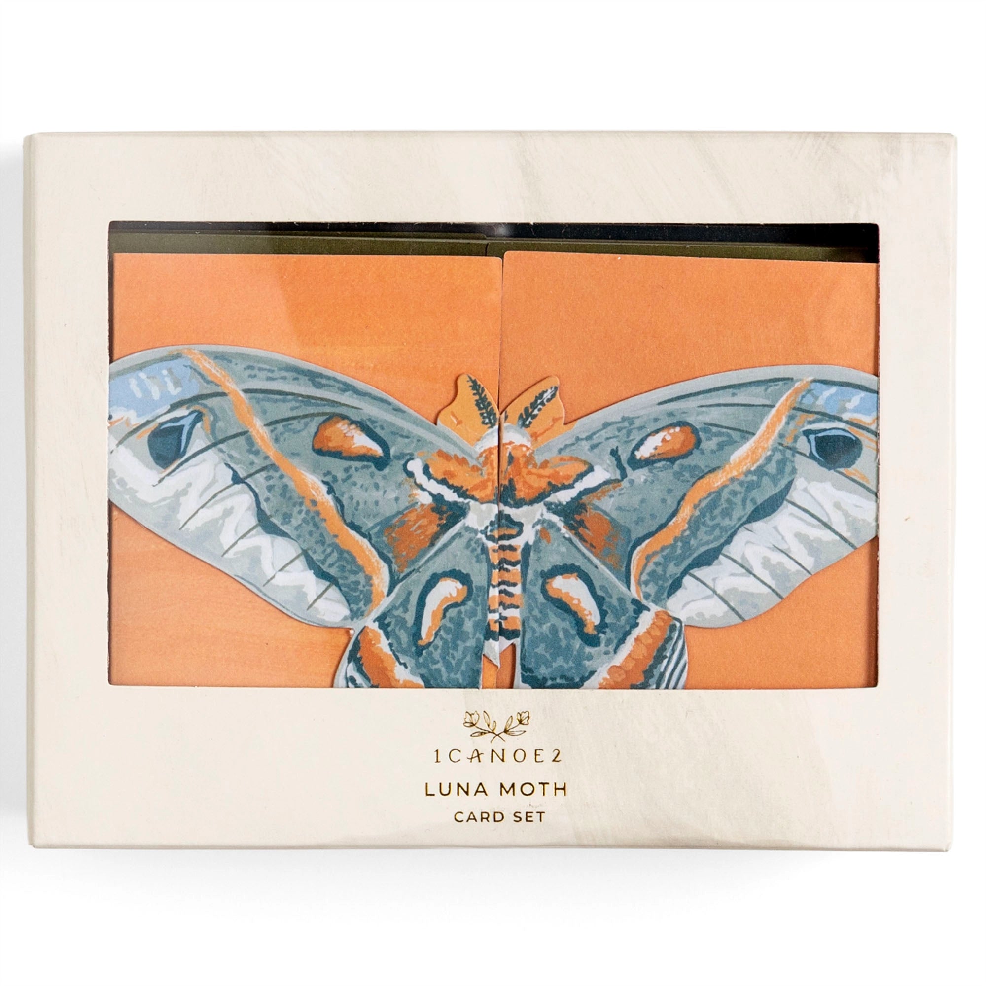 LUNA MOTHS CARD BOX SET