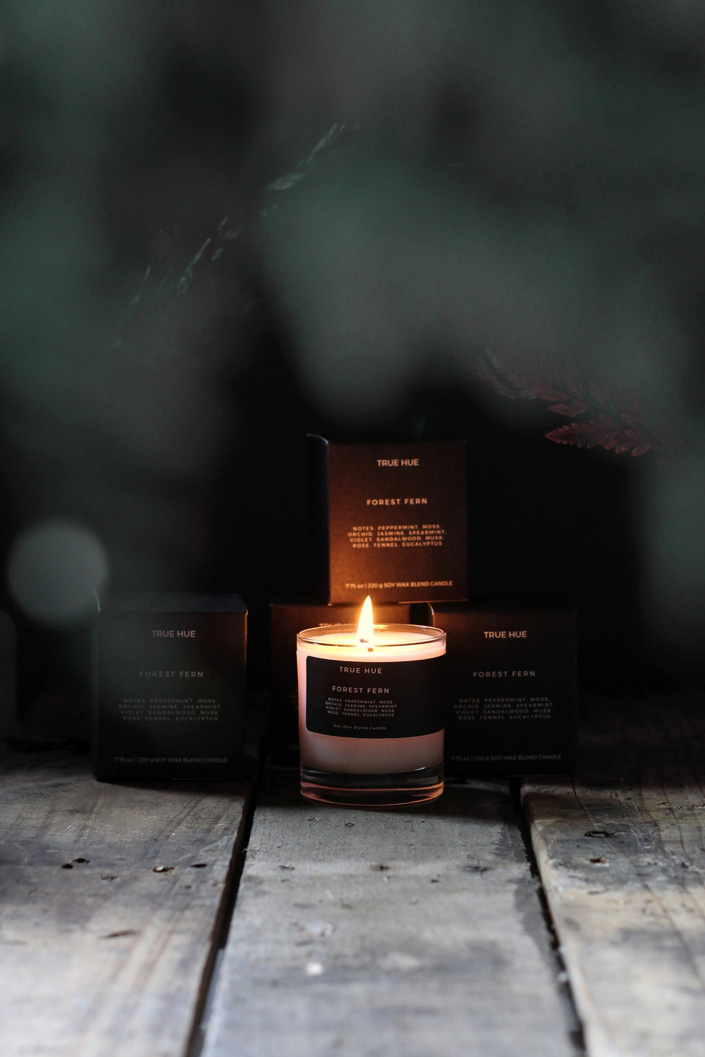 FOREST FERN SOY CANDLE