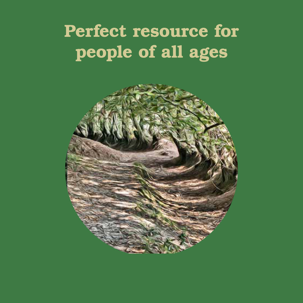 FOREST SCHOOL FOR GROWN UPS