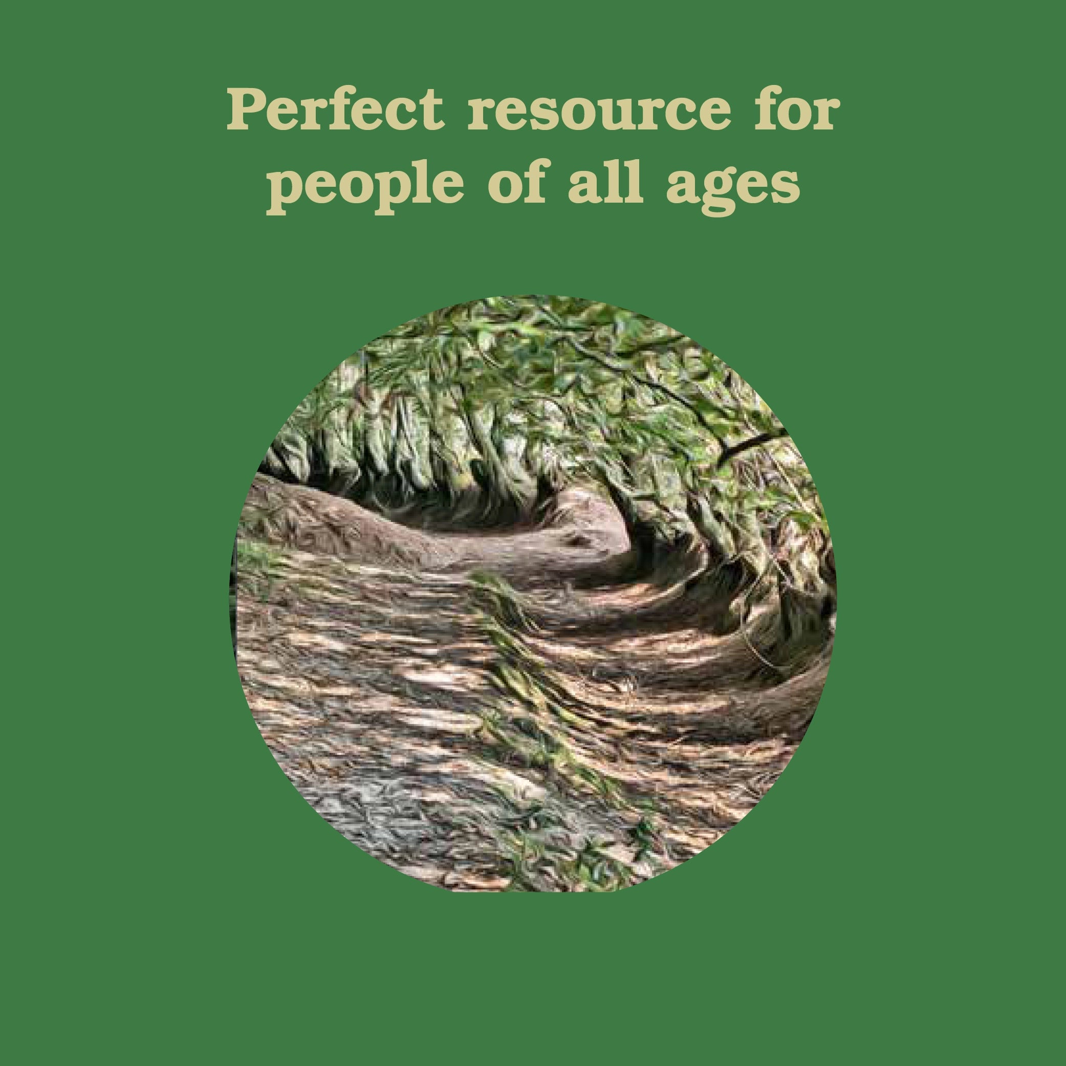 FOREST SCHOOL FOR GROWN UPS