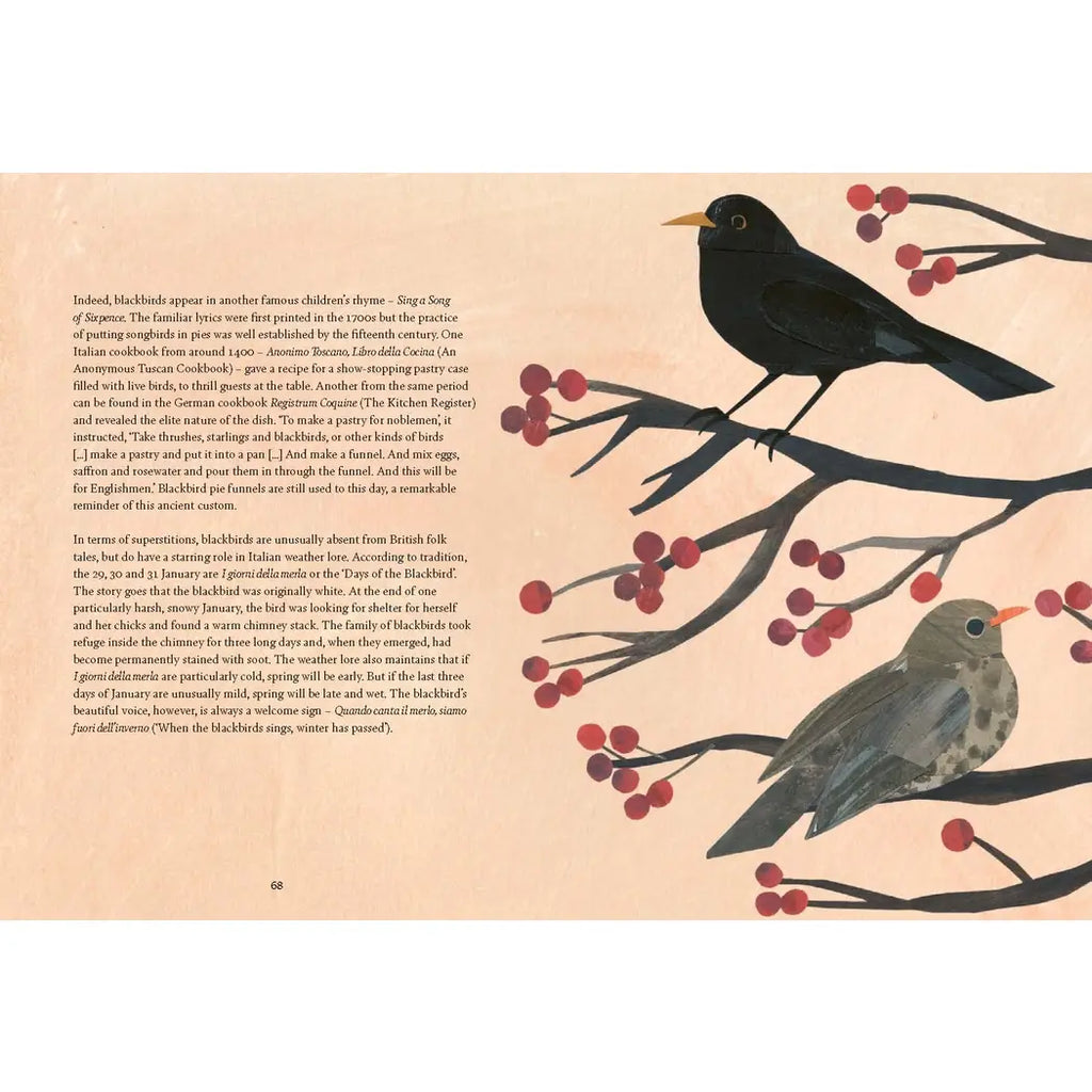 BIRD LORE BOOK