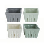 SPRING BERRY BOWLS