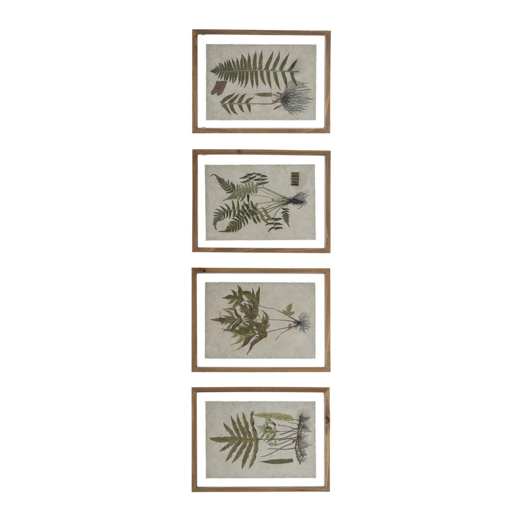 FRAMED BOTANICAL PRINT