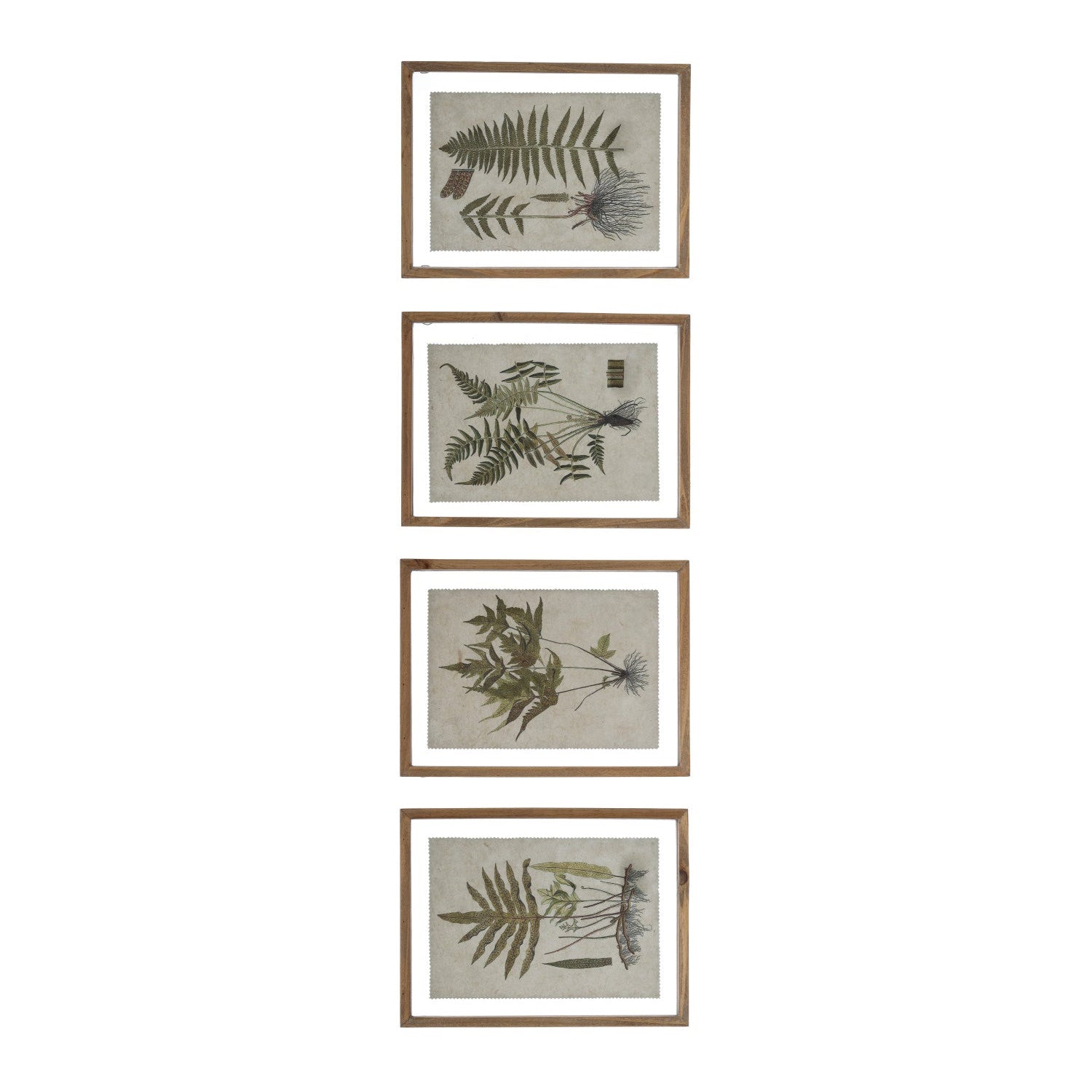 FRAMED BOTANICAL PRINT