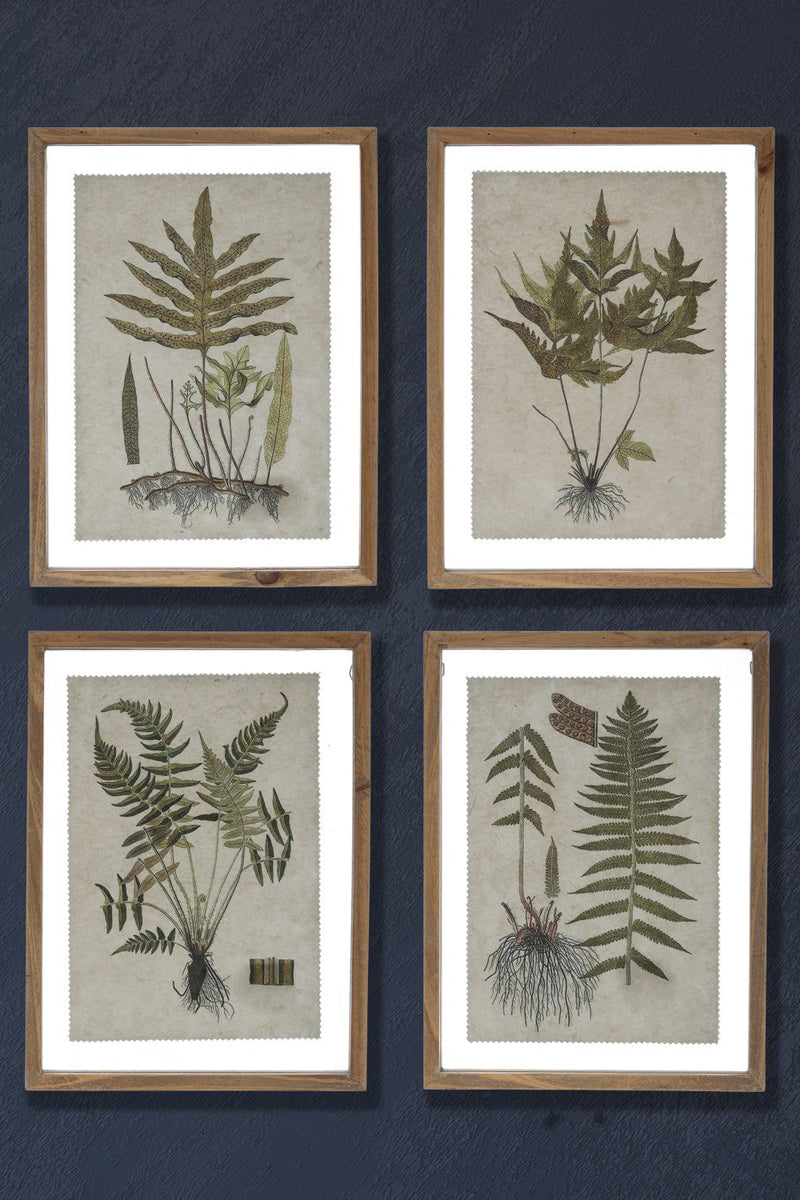 FRAMED BOTANICAL PRINT