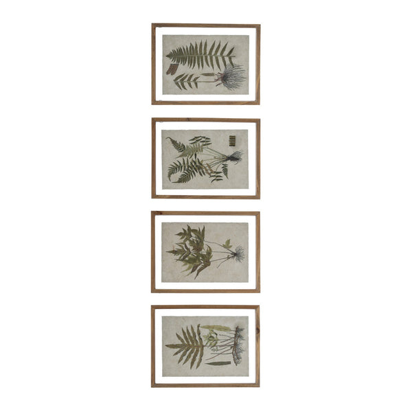 FRAMED BOTANICAL PRINT