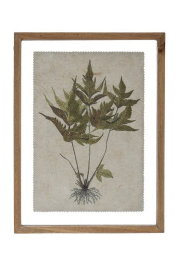 FRAMED BOTANICAL PRINT