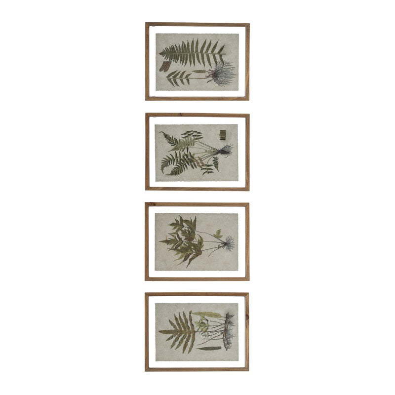 FRAMED BOTANICAL PRINT