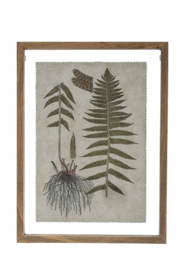 FRAMED BOTANICAL PRINT