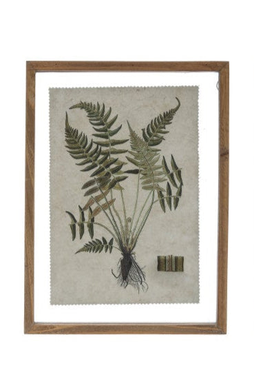 FRAMED BOTANICAL PRINT