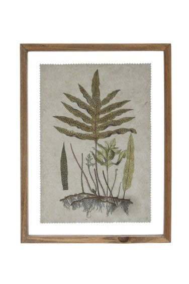 FRAMED BOTANICAL PRINT