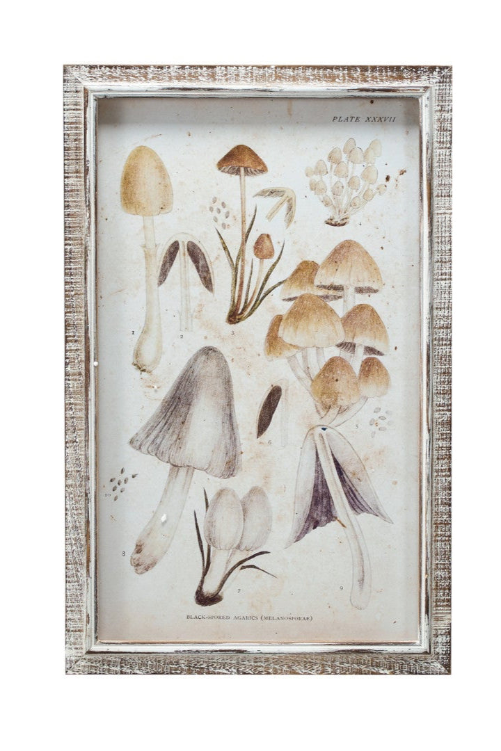 WOOD FRAMED MUSHROOM PRINT