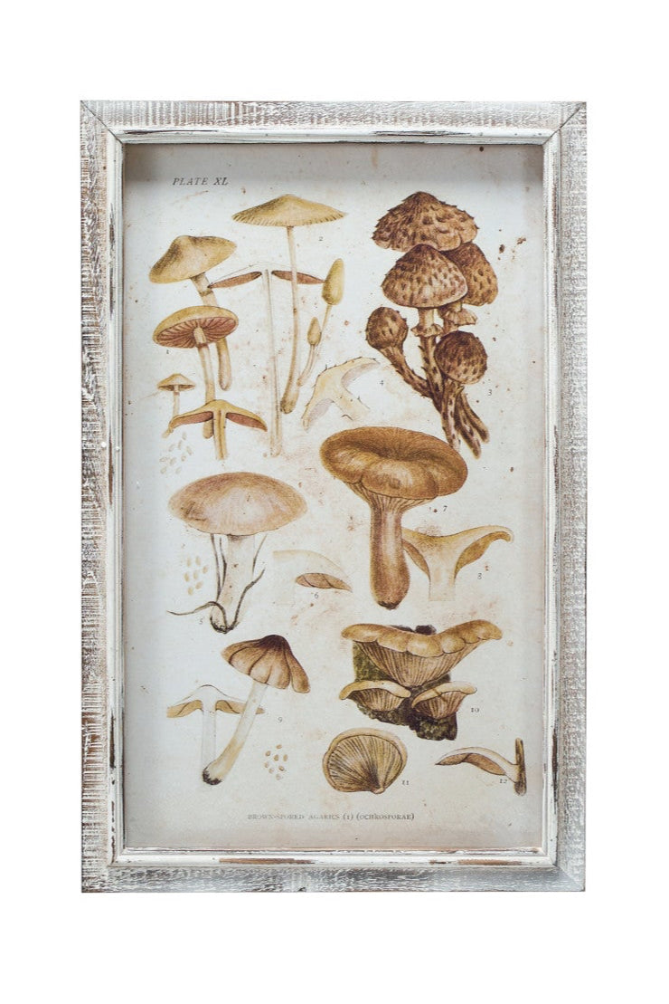 WOOD FRAMED MUSHROOM PRINT