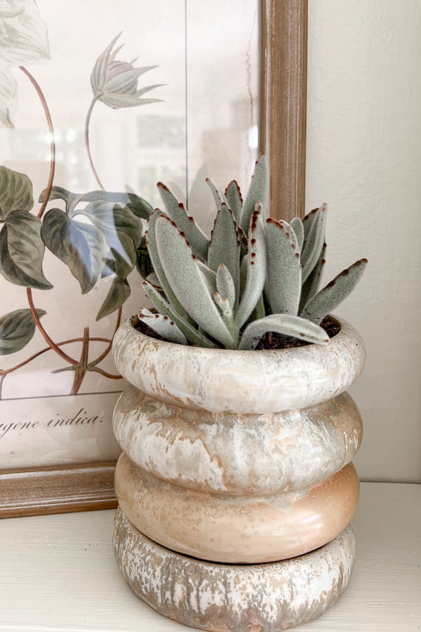 STONEWARE PLANTER WITH SAUCER