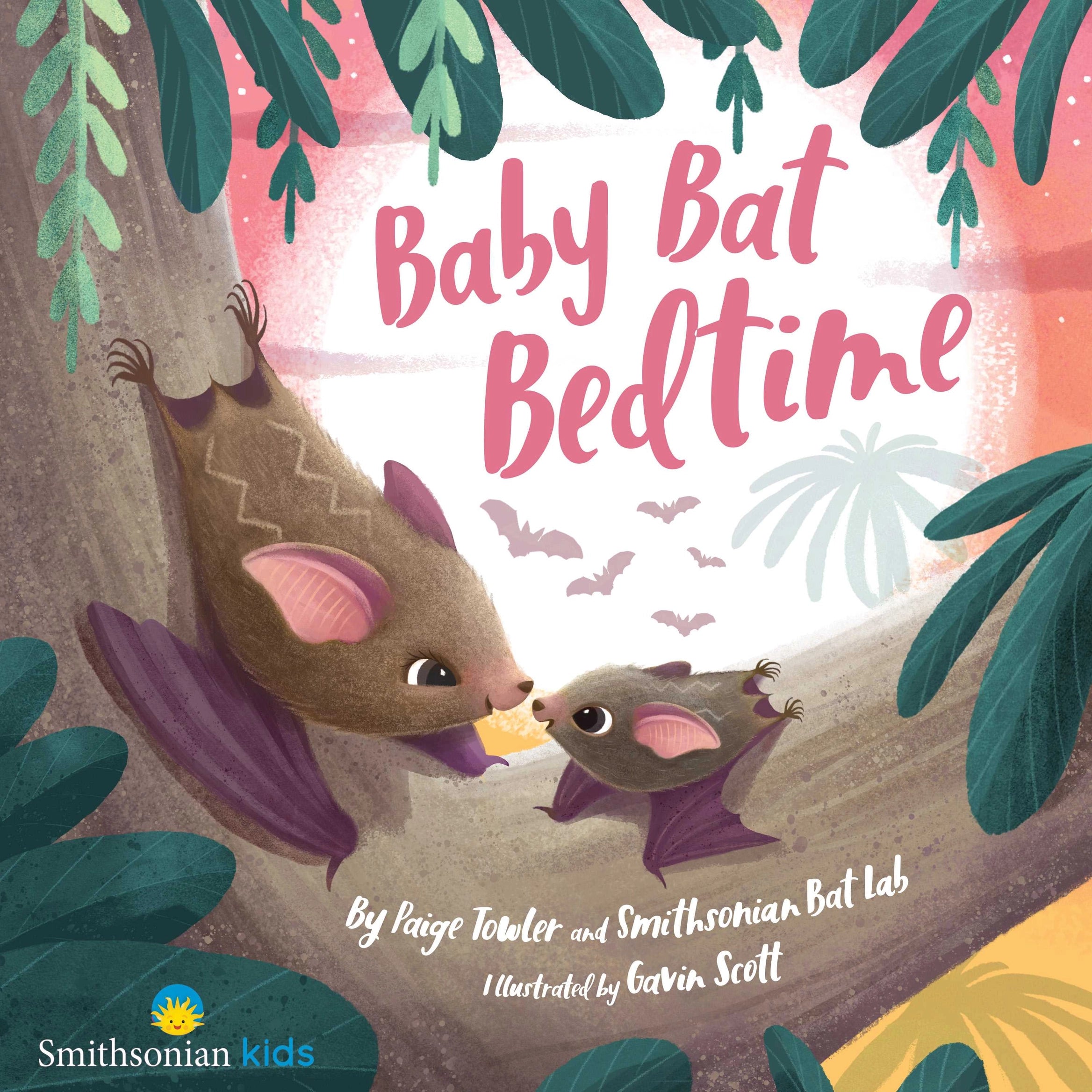 BABY BAT BEDTIME BOOK
