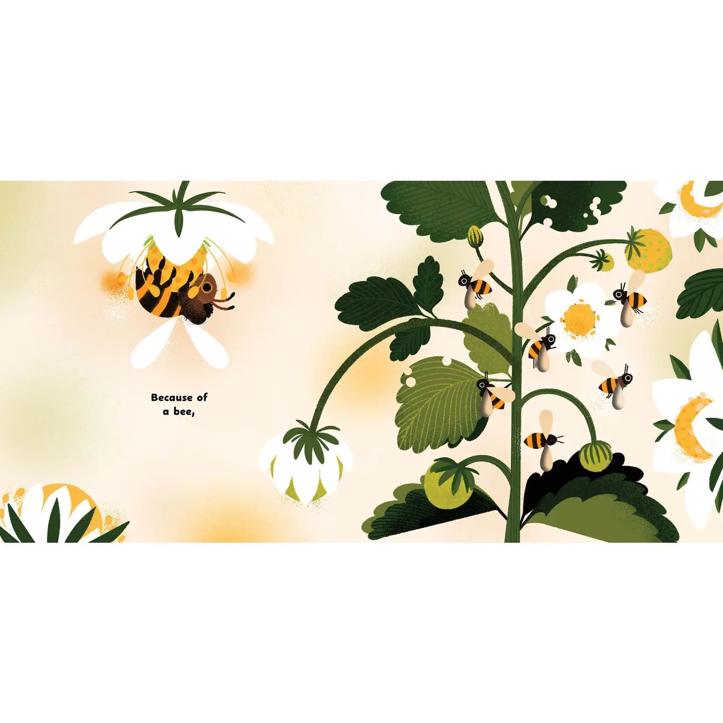 BECAUSE OF A BEE