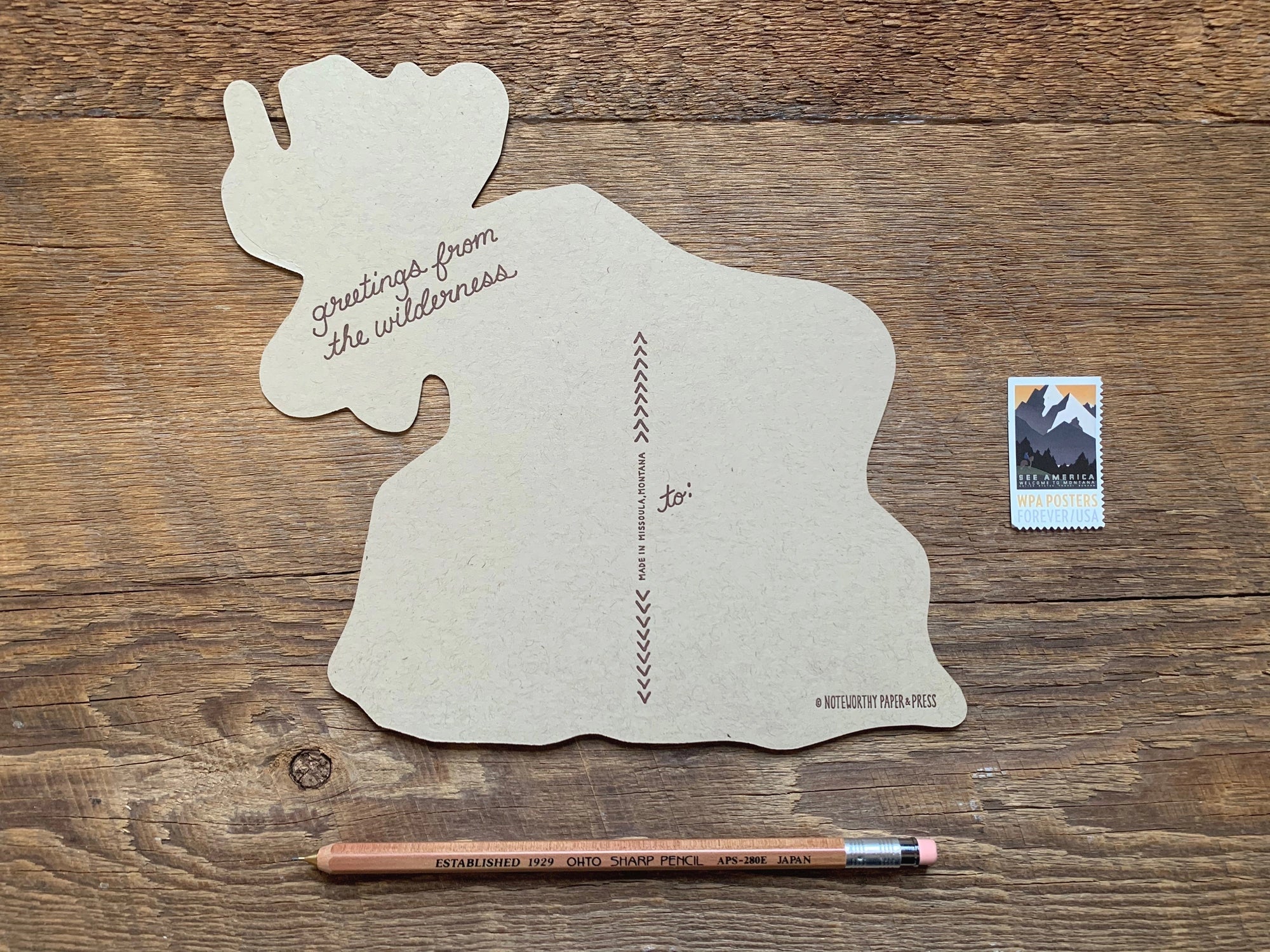 NOTEWORTHY POSTCARDS- MOOSE