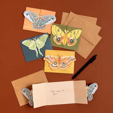 LUNA MOTHS CARD BOX SET
