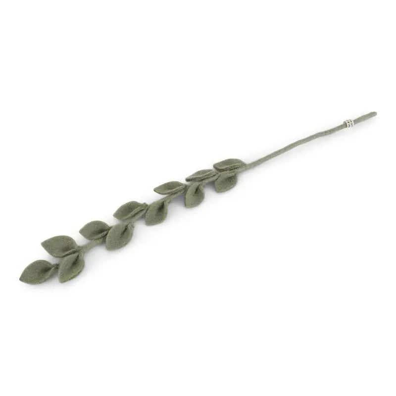 EUCALYPTUS BRANCH