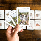 NORTH SHORE PLAYING CARDS