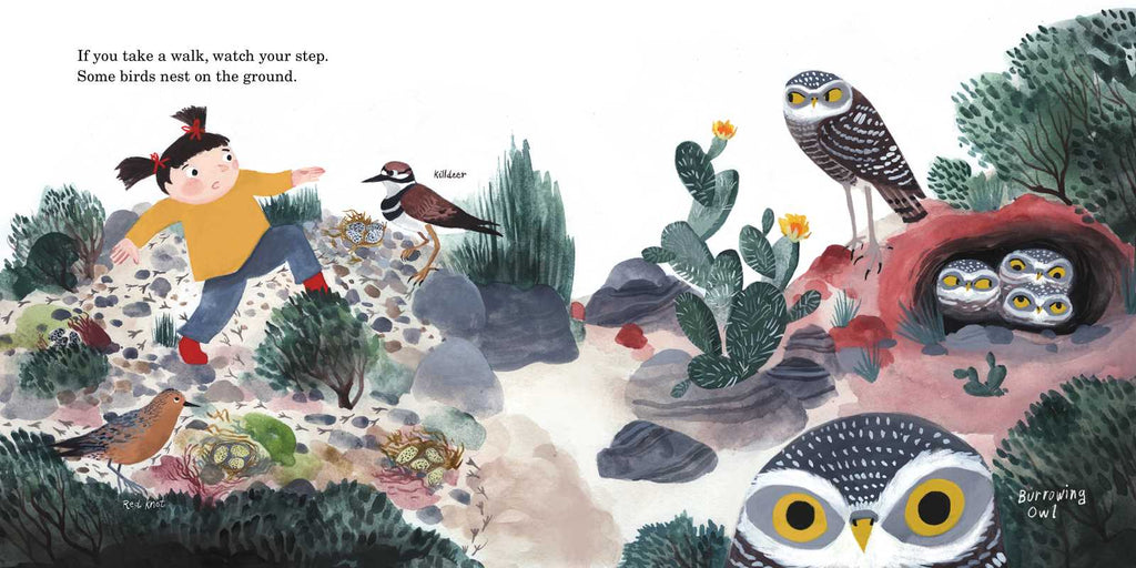 HOW TO FIND A BIRD - CHILDREN'S BOOK