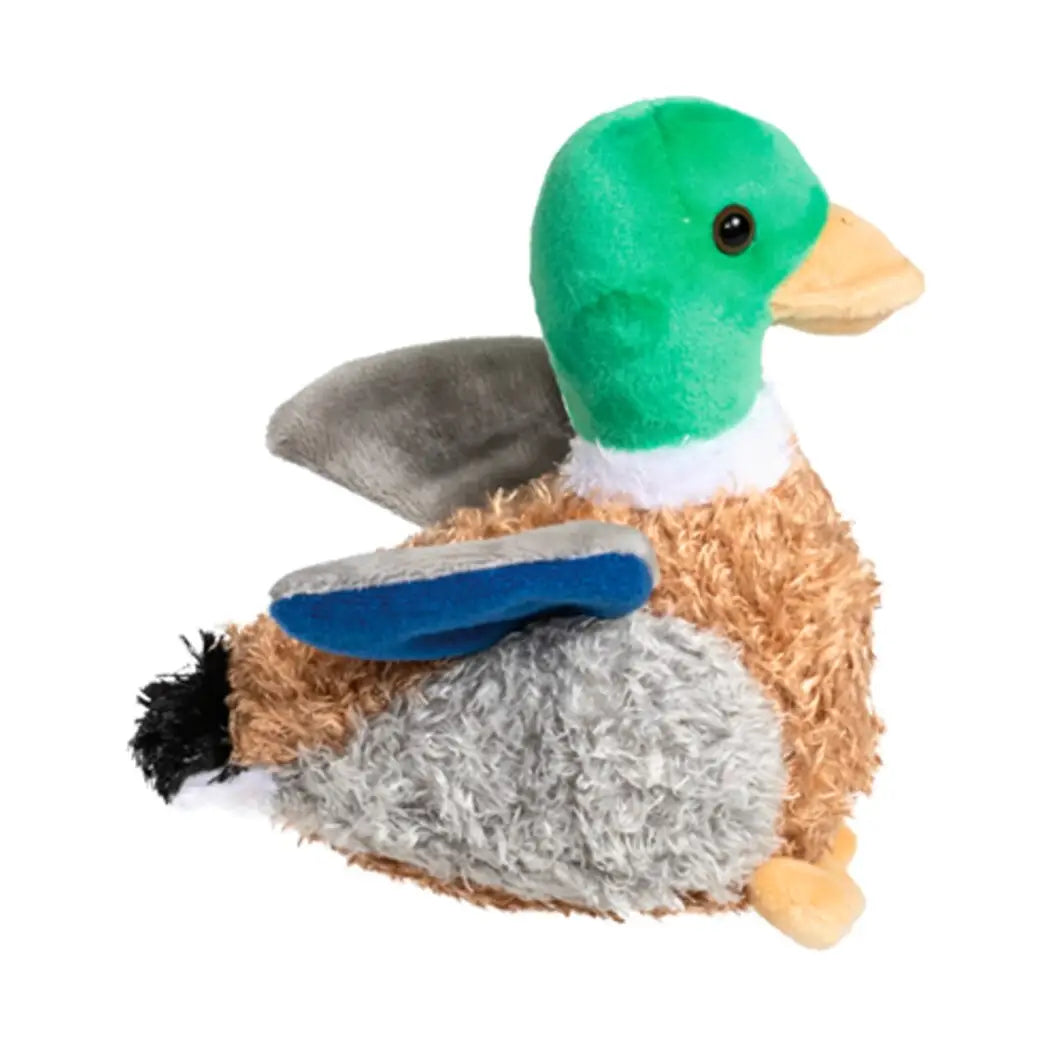 MALLARD DUCK W/ SOUND