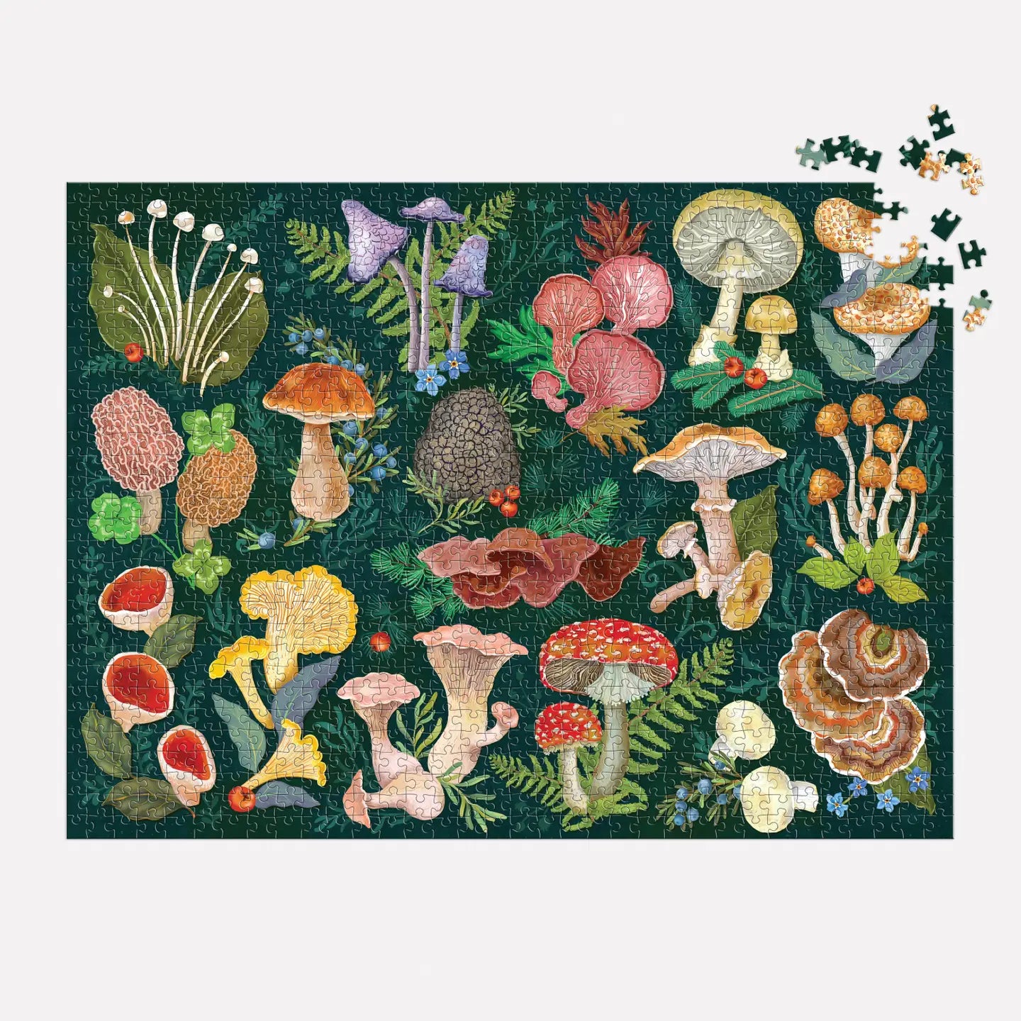 WORLD OF MUSHROOMS - 1000 PIECE PUZZLE