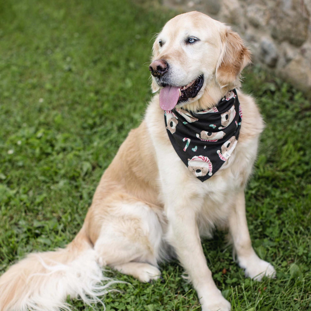 CANDY CANE BEARS DOG BANDANA