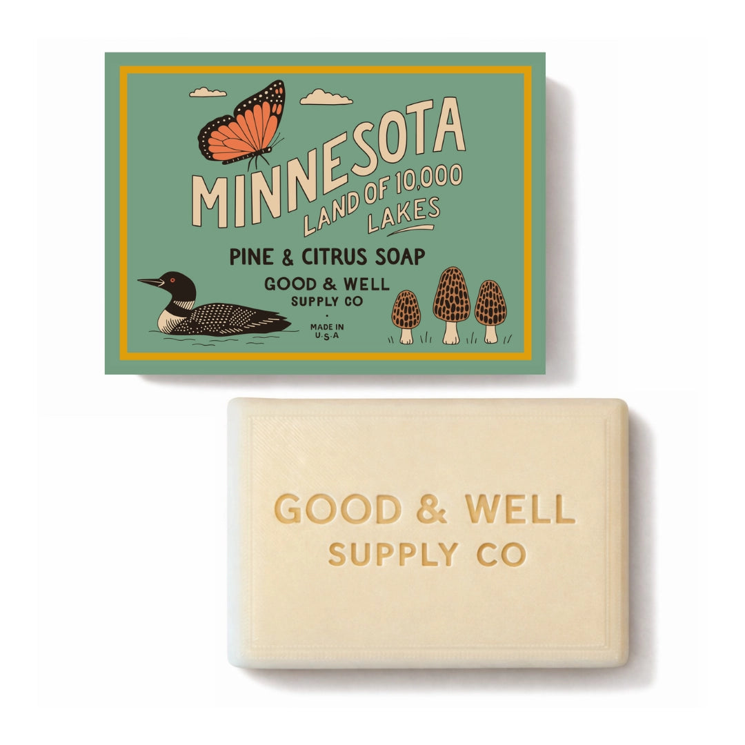MINNESOTA STATE BAR SOAP