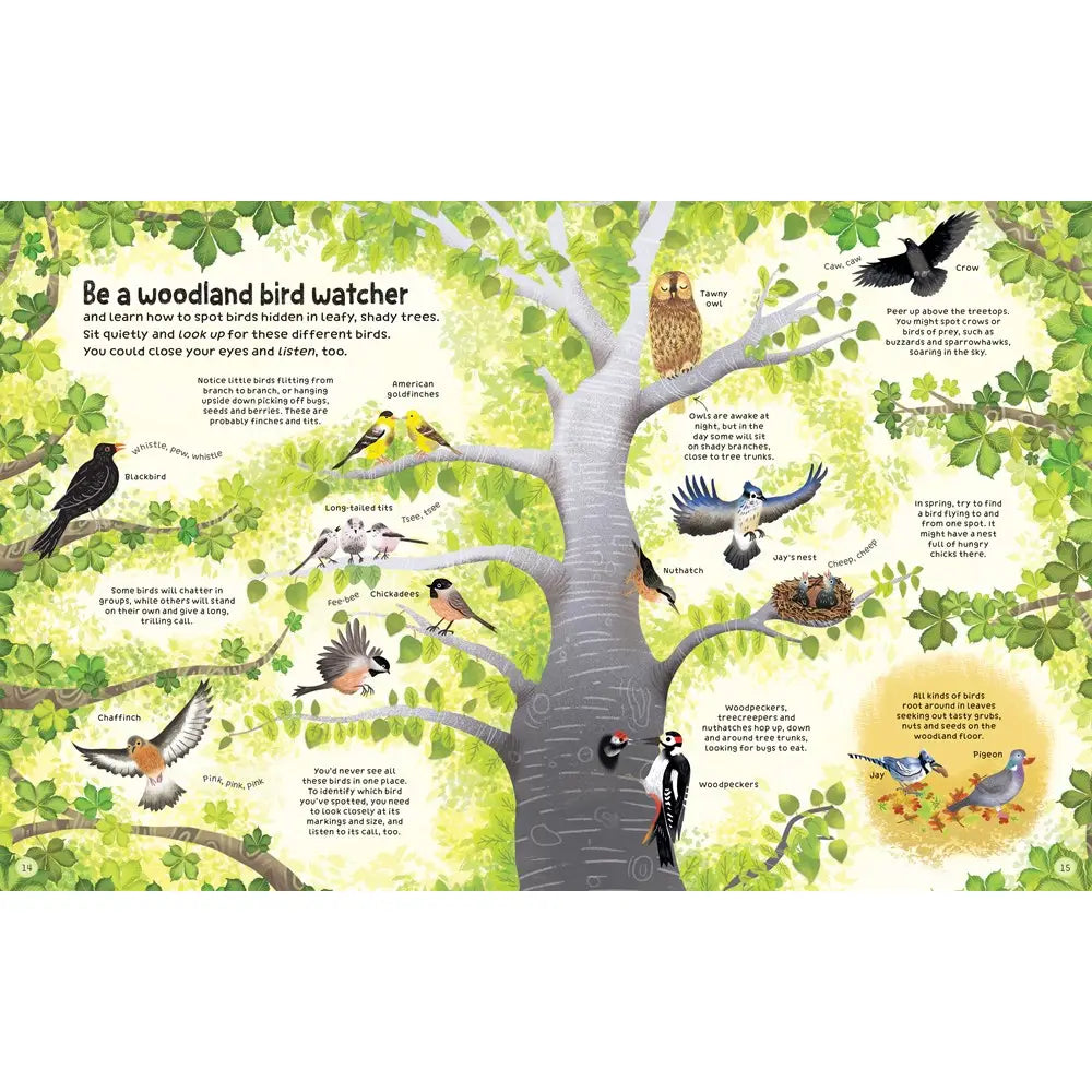 THE USBORNE WOODLAND BOOK