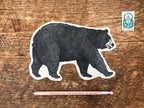 NOTEWORTHY POSTCARDS- BLACK BEAR