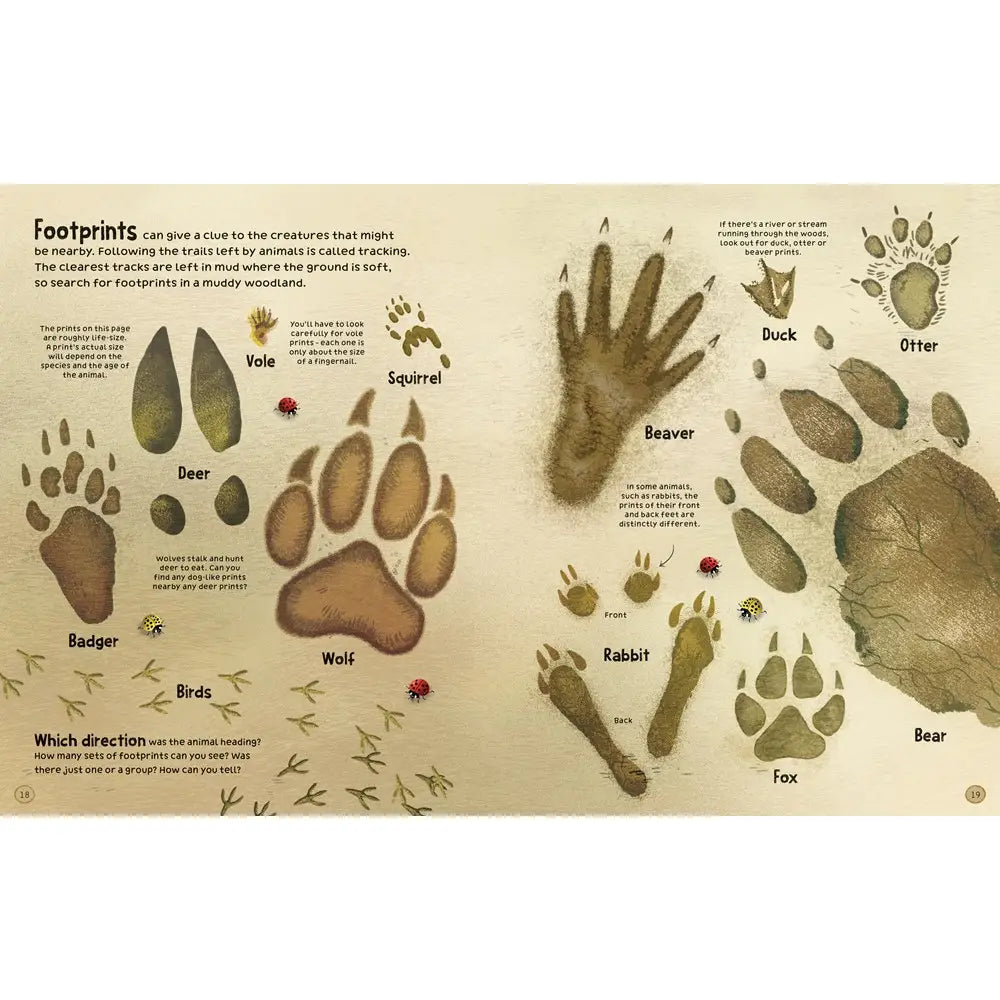 THE USBORNE WOODLAND BOOK