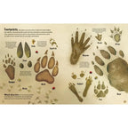 THE USBORNE WOODLAND BOOK