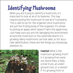 MUSHROOMS + FUNGI FOR KIDS