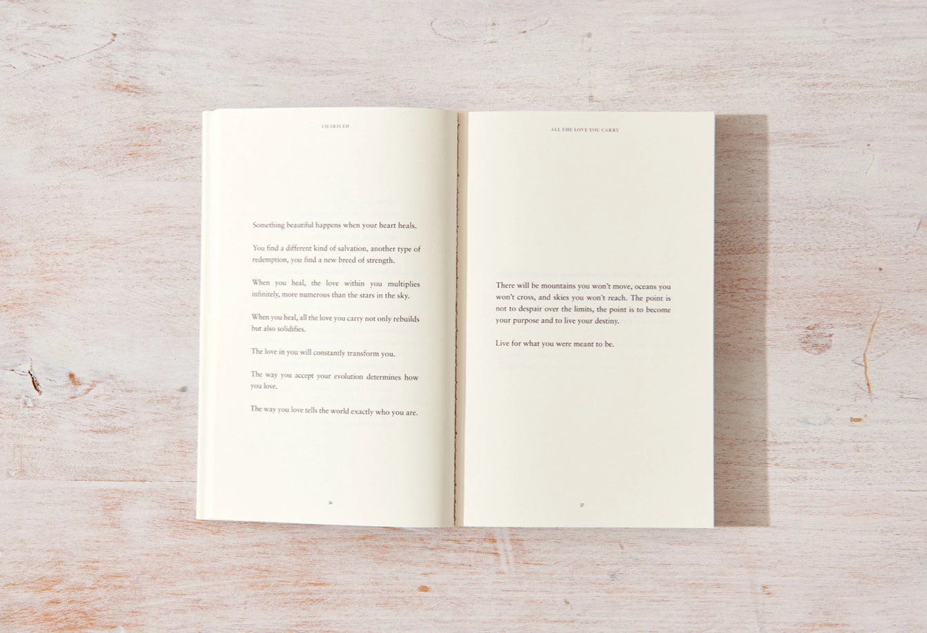 ALL THE LOVE YOU CARRY BOOK