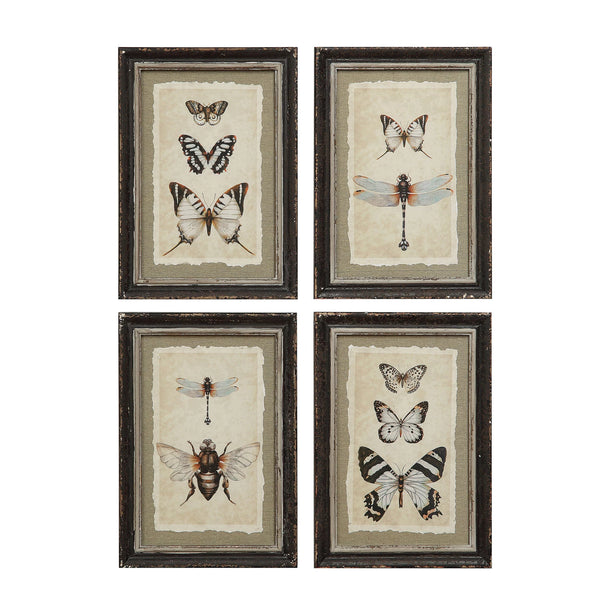 FRAMED INSECT PRINTS - 4 STYLES