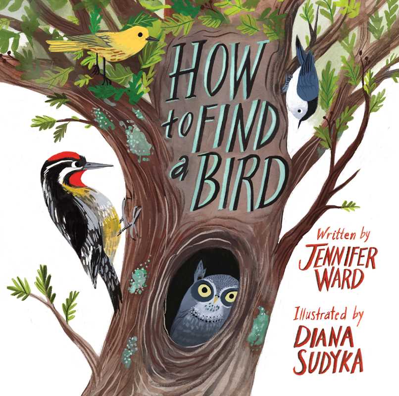 HOW TO FIND A BIRD - CHILDREN'S BOOK