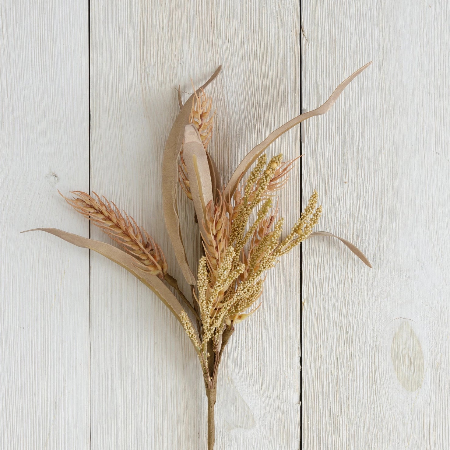 FALL WHEAT STEM