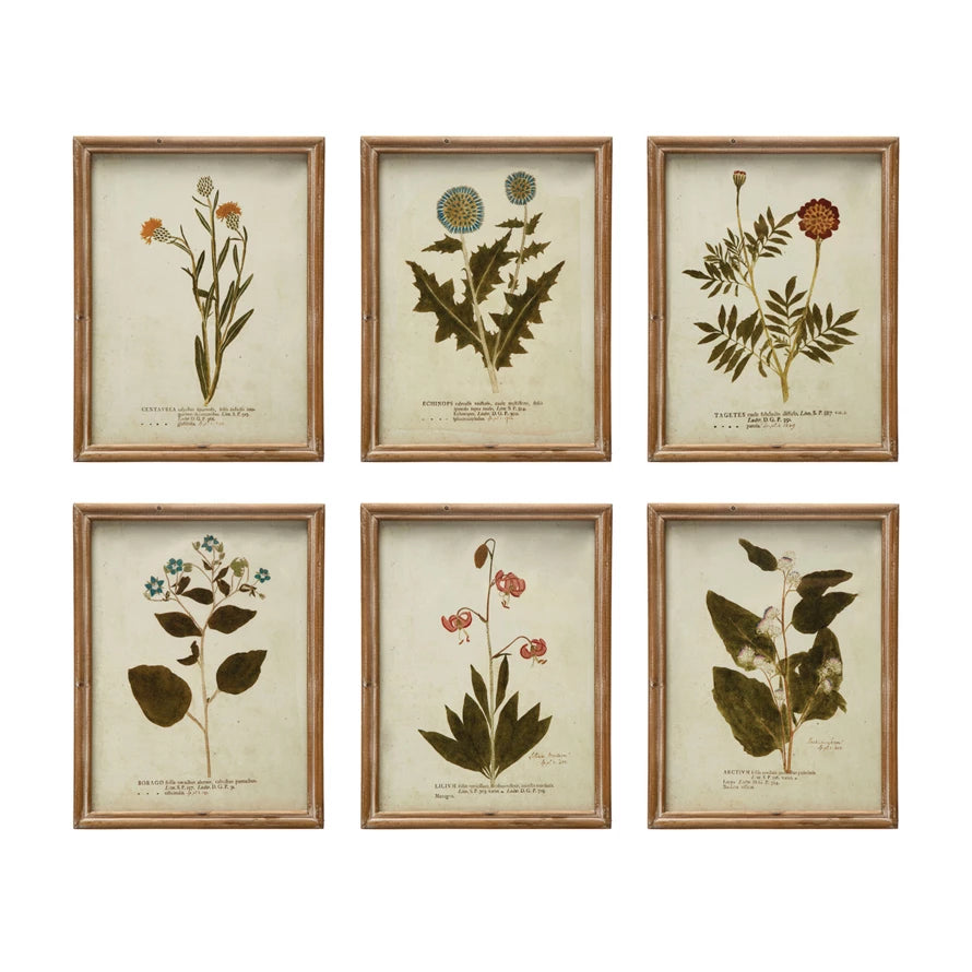 WILD BOTANICAL WALL DECOR
