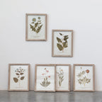 WILD BOTANICAL WALL DECOR