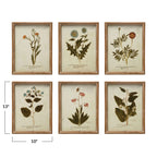 WILD BOTANICAL WALL DECOR